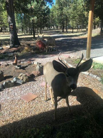 53530 Bridge Drive, La Pine, OR 97739