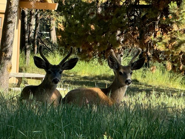 53530 Bridge Drive, La Pine, OR 97739