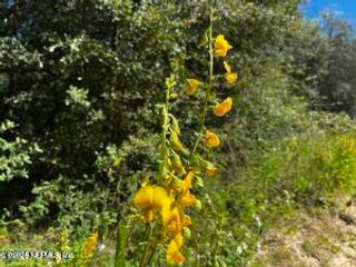 6076 INDIAN TRAIL Trail, Keystone Heights, FL 32656