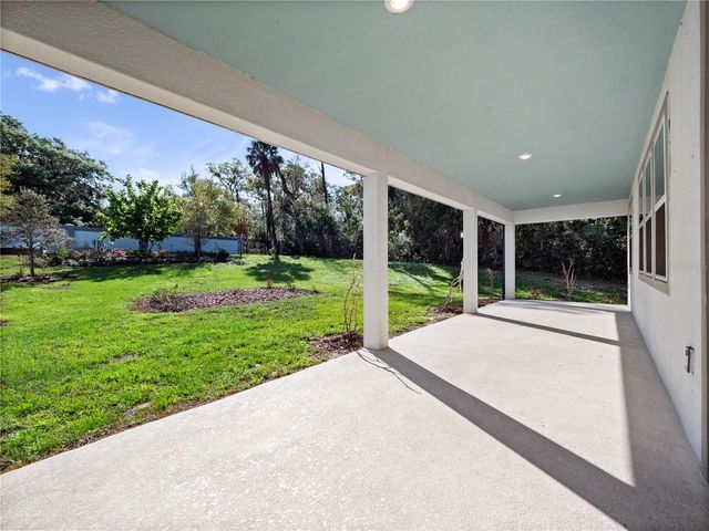 1252 DORA PARC LANE, Mount Dora, FL 32757