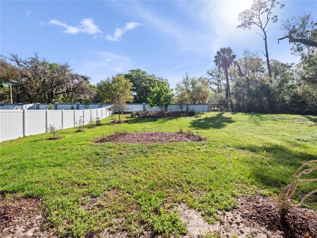 1252 DORA PARC LANE, Mount Dora, FL 32757