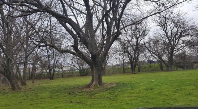 319 E Miller Street, Burleson, TX 76028