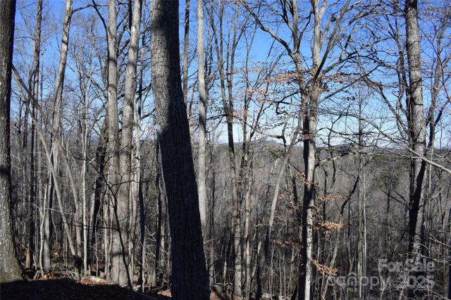 228 Wildwood Lane, Columbus, NC 28722