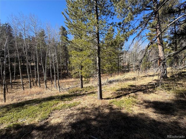 14 Wallace Ave, Conifer, CO 80433