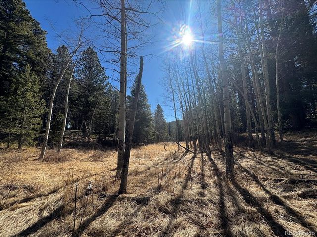 14 Wallace Ave, Conifer, CO 80433