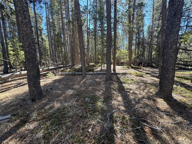 14 Wallace Ave, Conifer, CO 80433