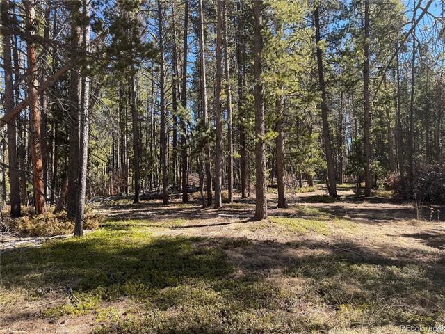 14 Wallace Ave, Conifer, CO 80433