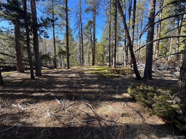 14 Wallace Ave, Conifer, CO 80433