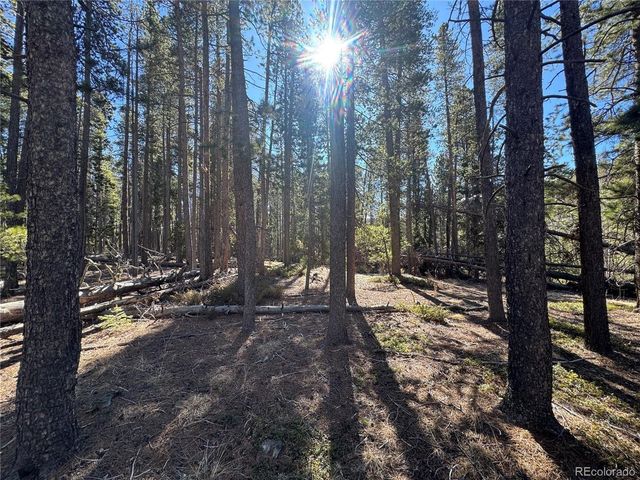 14 Wallace Ave, Conifer, CO 80433