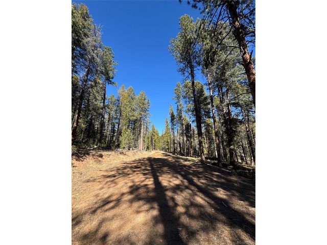 14 Wallace Ave, Conifer, CO 80433