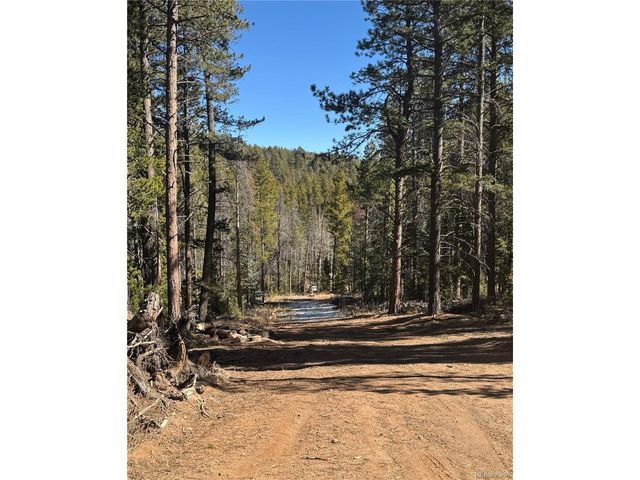 14 Wallace Ave, Conifer, CO 80433