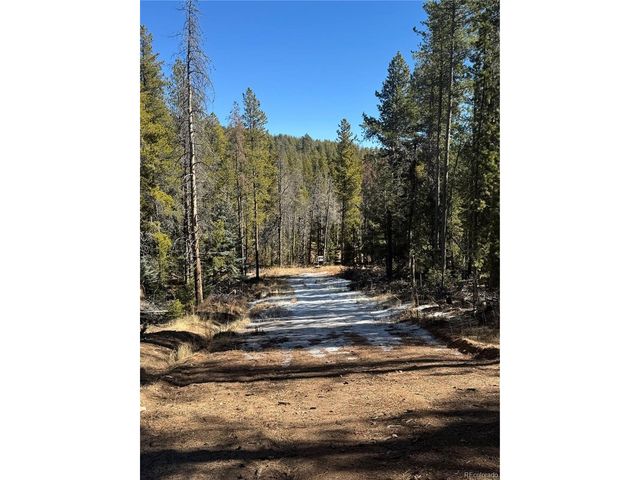 14 Wallace Ave, Conifer, CO 80433