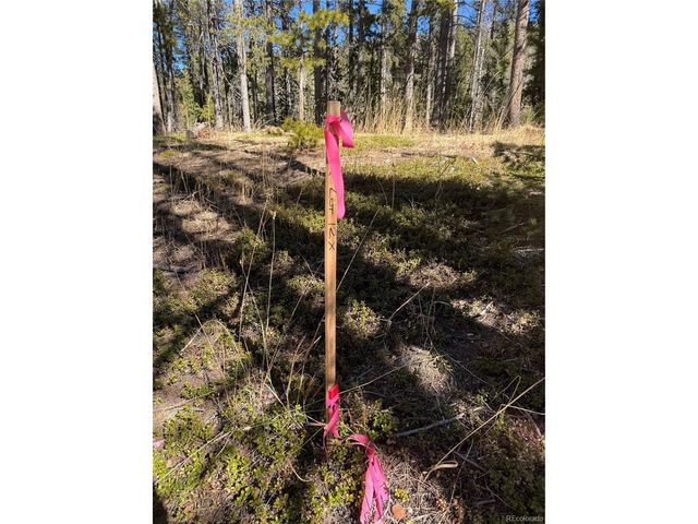 14 Wallace Ave, Conifer, CO 80433