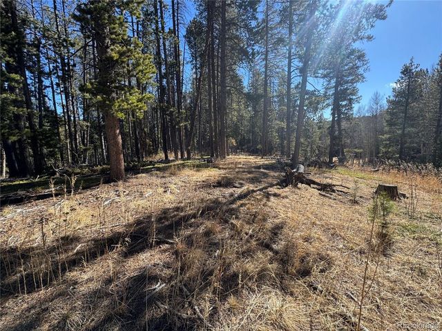 14 Wallace Ave, Conifer, CO 80433