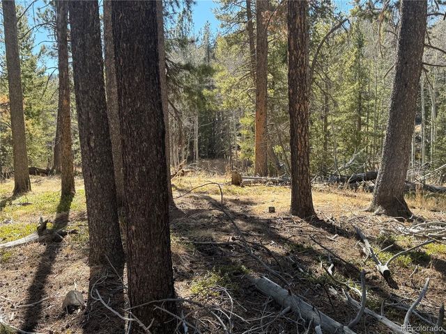 14 Wallace Ave, Conifer, CO 80433