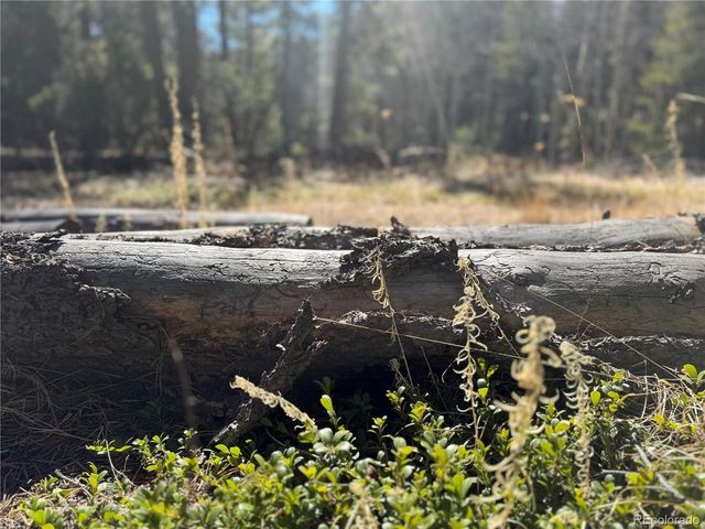 14 Wallace Ave, Conifer, CO 80433