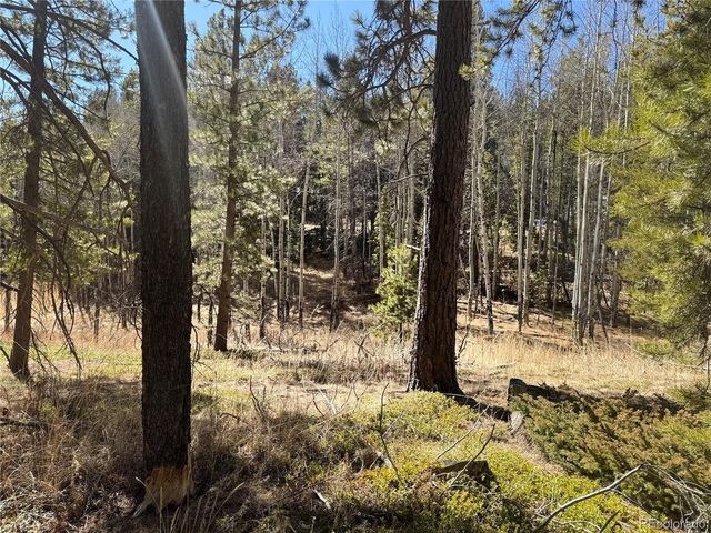 14 Wallace Ave, Conifer, CO 80433