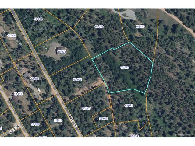 14 Wallace Ave, Conifer, CO 80433