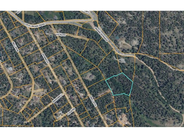 14 Wallace Ave, Conifer, CO 80433