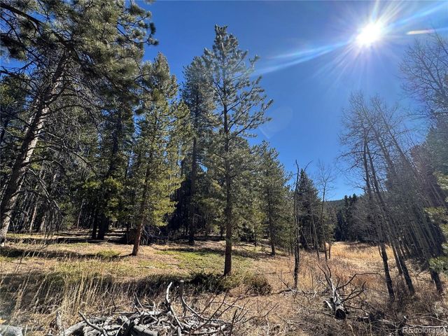 14 Wallace Ave, Conifer, CO 80433