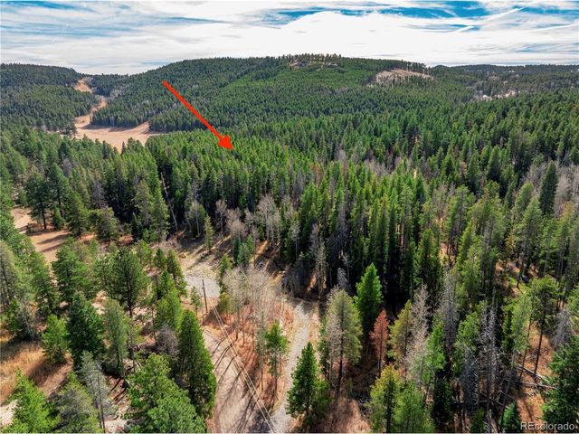 14 Wallace Ave, Conifer, CO 80433