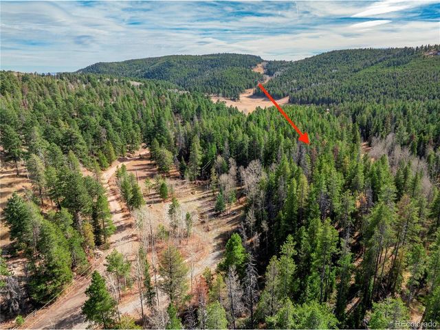 14 Wallace Ave, Conifer, CO 80433