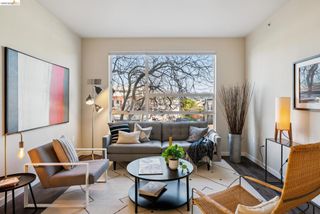 6465 San Pablo 203, Oakland, CA 94608