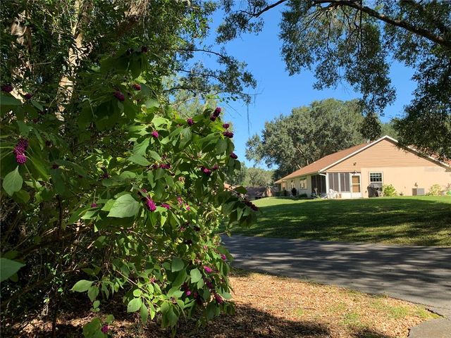 3550 N LAKESIDE VILLAGE DRIVE, Beverly Hills, FL 34465