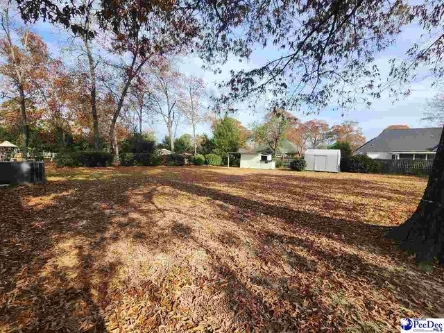2345 W McCown Drive, Florence, SC 29501