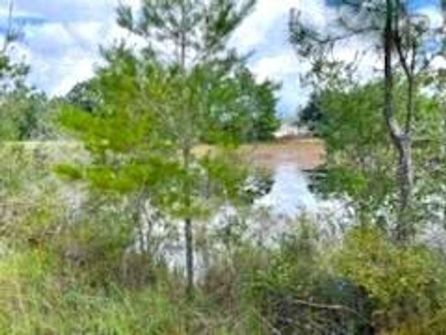 31 Rembrandt Circle, Defuniak Springs, FL 32433