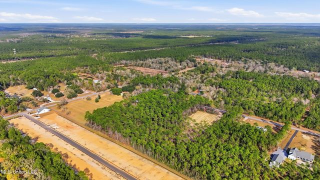 0 Phil Davis Road, Ocean Springs, MS 39564