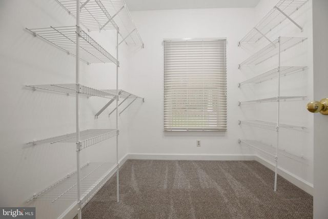 839 QUEEN ANNE DR, Fredericksburg, VA 22406