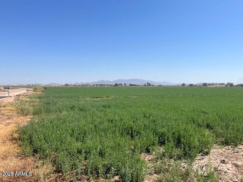 0004 W Beloat Road X, Buckeye, AZ 85326 — photo 3