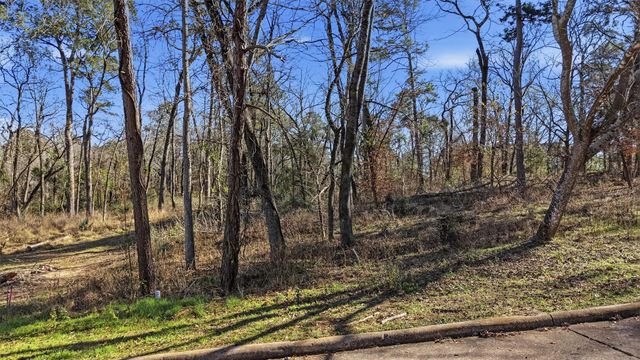 Lot 83 Lake Oaks Circle, Coldspring, TX 77331