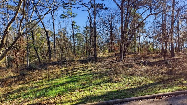 Lot 83 Lake Oaks Circle, Coldspring, TX 77331