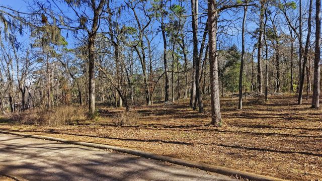 Lot 83 Lake Oaks Circle, Coldspring, TX 77331