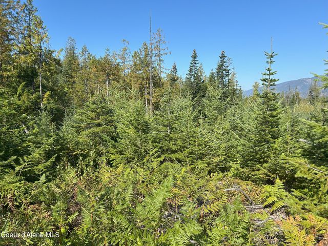 NKA Tract 4, Clark Fork, ID 83811