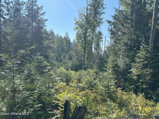 NKA Tract 4, Clark Fork, ID 83811