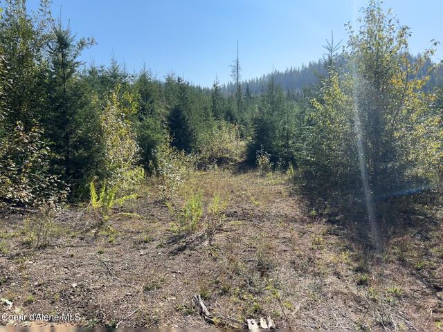 NKA Tract 4, Clark Fork, ID 83811