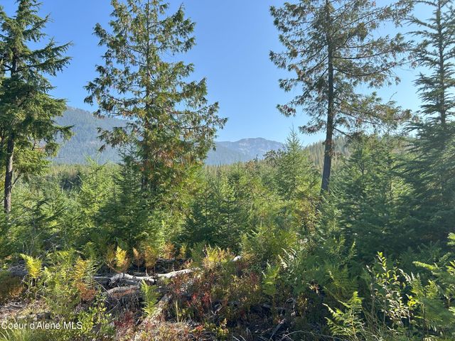 NKA Tract 4, Clark Fork, ID 83811