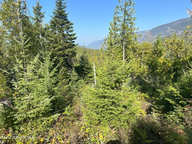 NKA Tract 4, Clark Fork, ID 83811