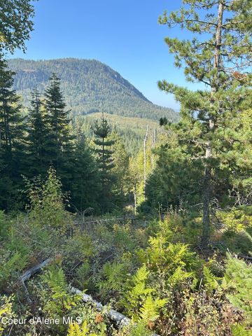 NKA Tract 4, Clark Fork, ID 83811