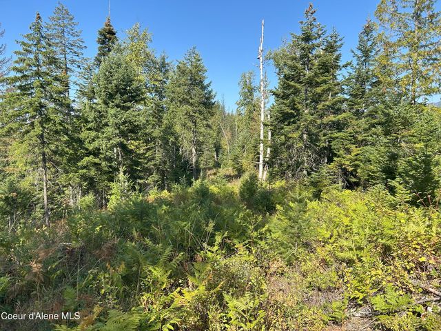 NKA Tract 4, Clark Fork, ID 83811