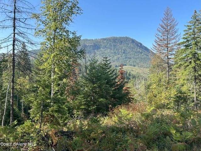 NKA Tract 4, Clark Fork, ID 83811