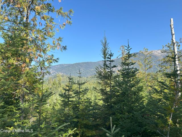 NKA Tract 4, Clark Fork, ID 83811