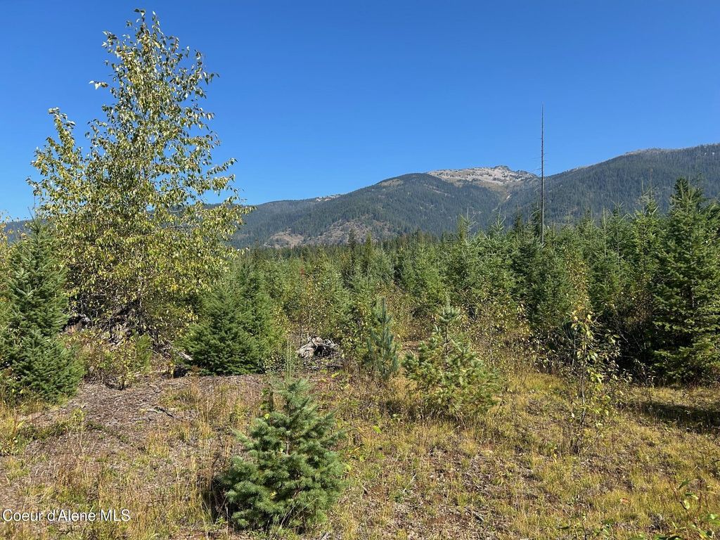 NKA Tract 4, Clark Fork, ID 83811