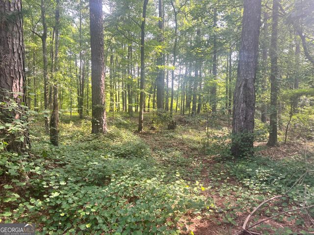 3115 East Fairview Rd, Mcdonough, GA 30252