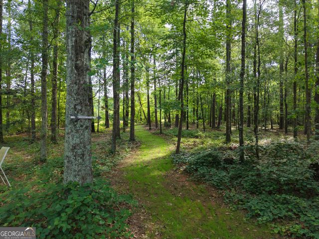 3115 East Fairview Rd, Mcdonough, GA 30252
