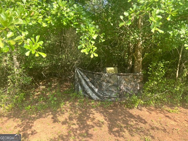 3115 East Fairview Rd, Mcdonough, GA 30252
