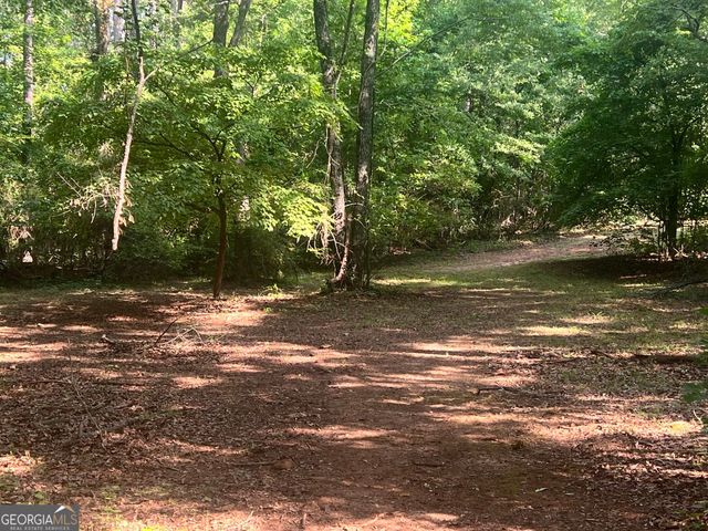 3115 East Fairview Rd, Mcdonough, GA 30252